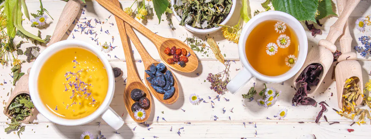 From Vedic Times to Modern Wellness