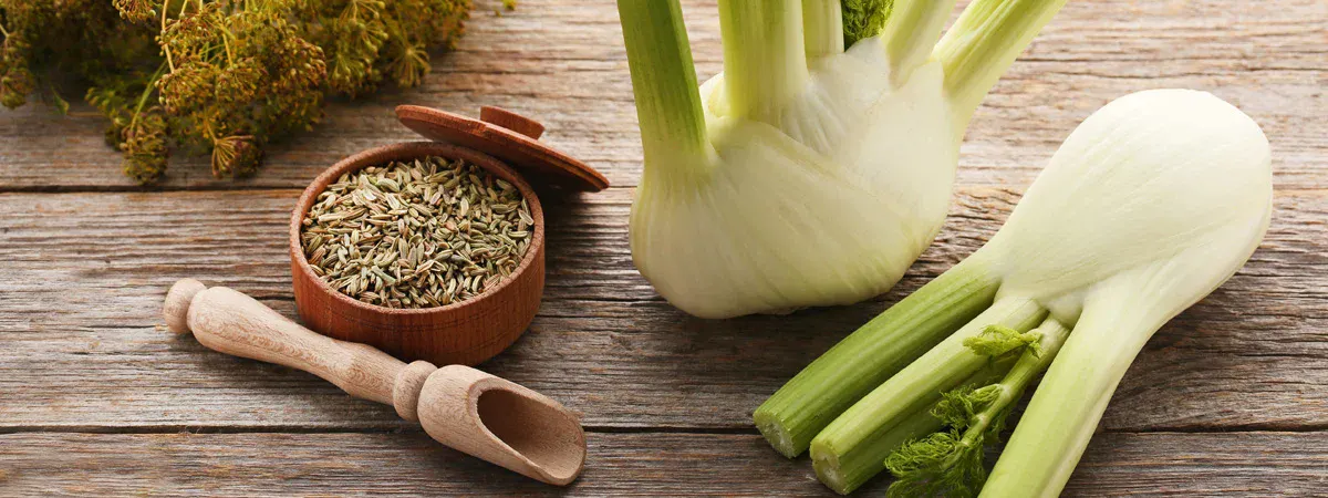 Top Ayurvedic Benefits of Fennel for Digestion & Hormones